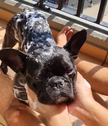 59042318-e0e3-4b27-b97d-483d225050f6