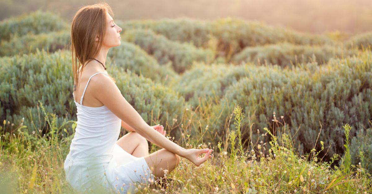 Discover Your Zen: 7 Days of Mindfulness Trials
