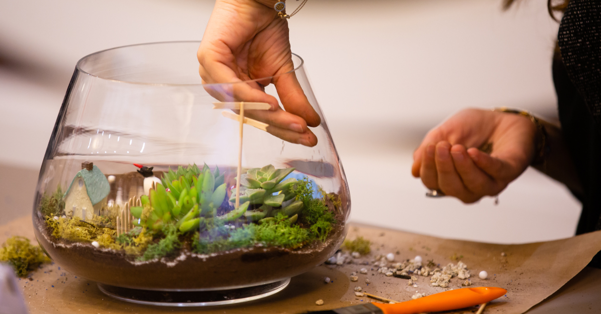 Terrarium-Making Challenge: Self-Care and Connection